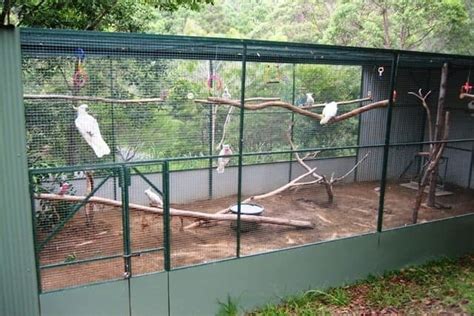 Inspirasi Kandang Aviary Minimalis Yang Bisa Memperindah Rumah