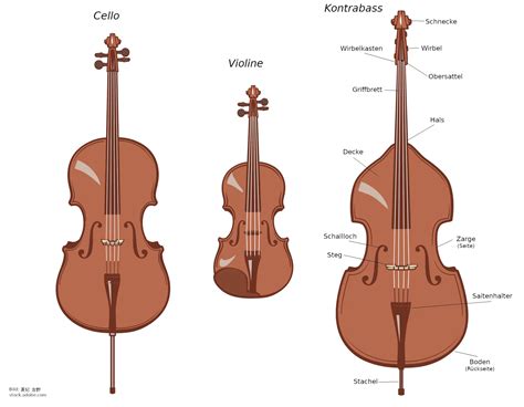 Aufbau Vom Kontrabass Einfach Erkl Rt
