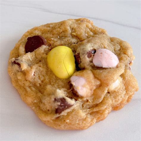 Cadbury Chocolate Chip Cookies 2023 | Norine's Nest