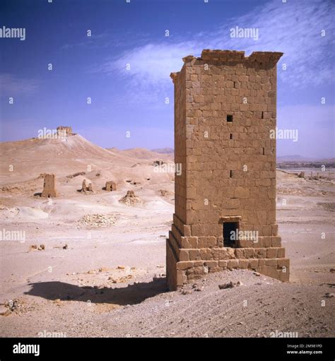 Palmyra Syria Fakhr Al Din Al Maani Castle On The Hilltop At Rear