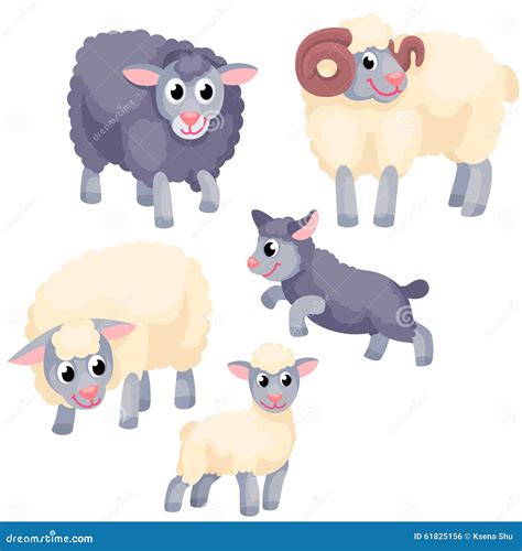 Sheep Mother With Lamb On White Background Vector Illustration