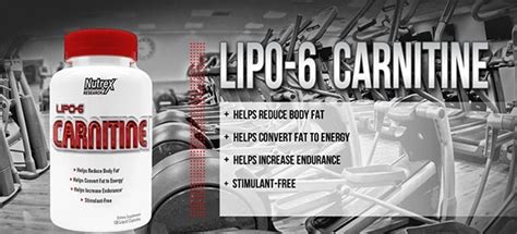 Lipo 6 Carnitine 120cps Nutrex Research