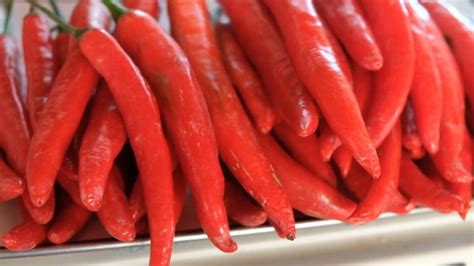 Cabe Merah Besar Cabai Merah Besar Lazada Indonesia