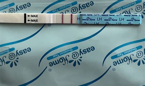 Je to pozitívny ovulačný test? - Modrý koník