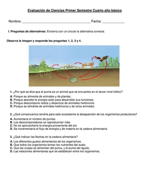 Evaluación Segundo Semestre 4° Año Básico Profesocial