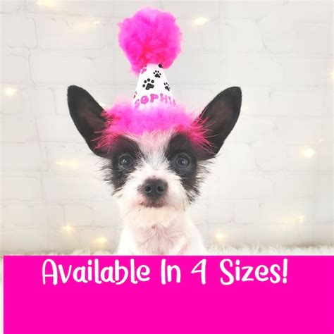 Dog Birthday Hat - Etsy