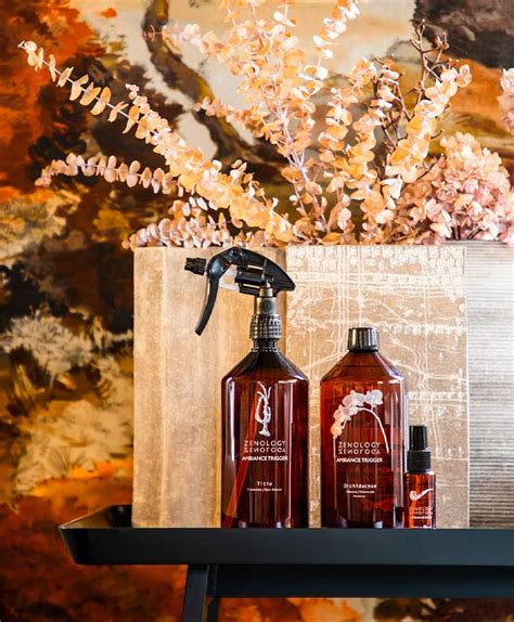 Room fragrance Ambiance Trigger Spray by Zenology - Shop online at RAUM ...