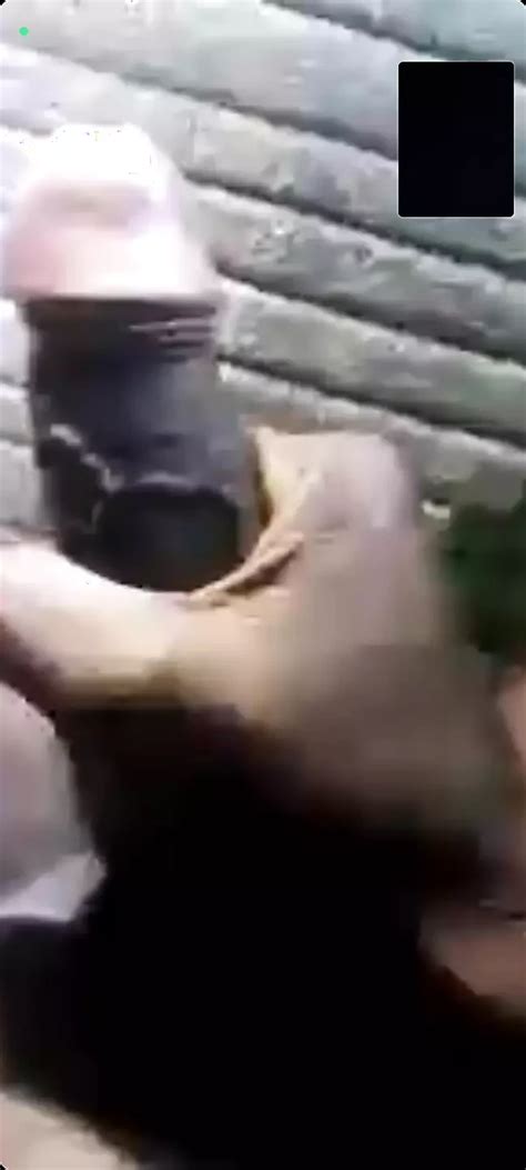 Desi Boy Workout Indian Gay Bdsm Bdsm Porn Xhamster