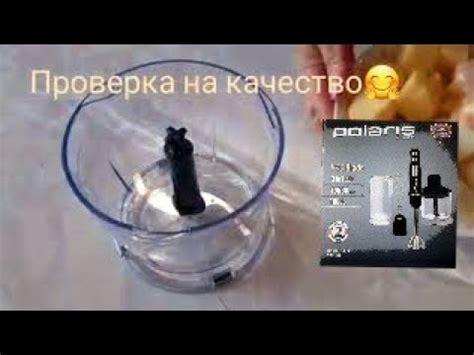 Блендер POLARIS - since 1995 ( Распасковка и обзор)и проверка. - YouTube