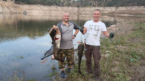 Сомы на квок - YouTube