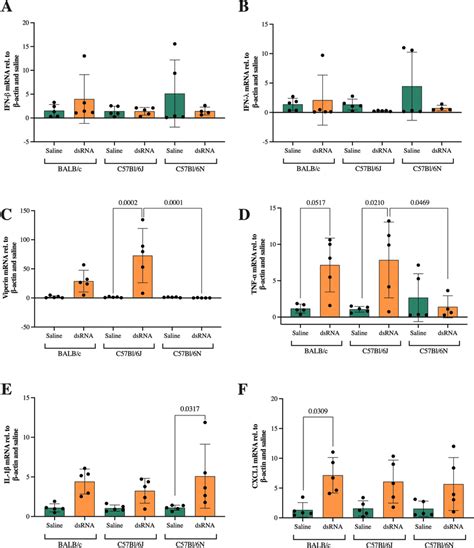 Gene Expression Of Ifn β Ifn λ Viperin Tnf α Il 1β And Cxcl1 After