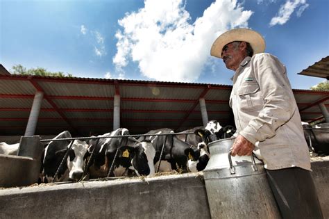 La Jornada Ganaderos confían en que se respetarán precios de leche