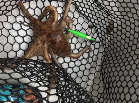 Major Craft Co., Ltd. - Home | Facebook