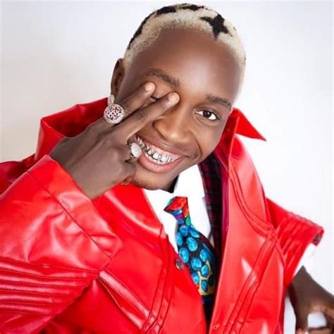 tml vibez net worth 2025