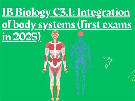 IB Biology C3.1: Integration of body systems (first exams in 2025 ...