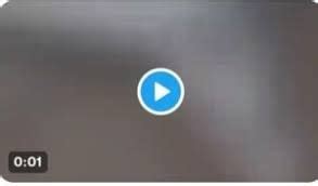 The Untold Story Behind the Taliya and Gustavo 2024 Leaks - v74gutj