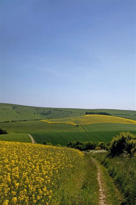 The best places in the South Downs | CN Traveller