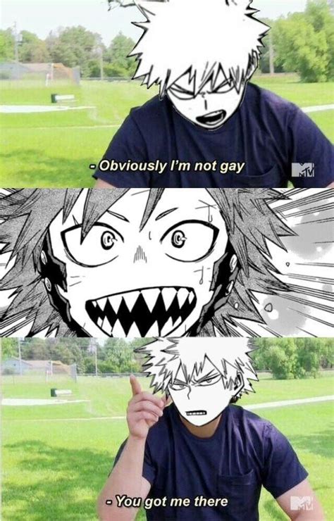 Gay R Animemes