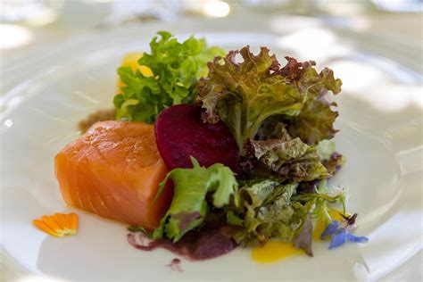 Wine Tasting In The Colchagua Valley An Adventurous World