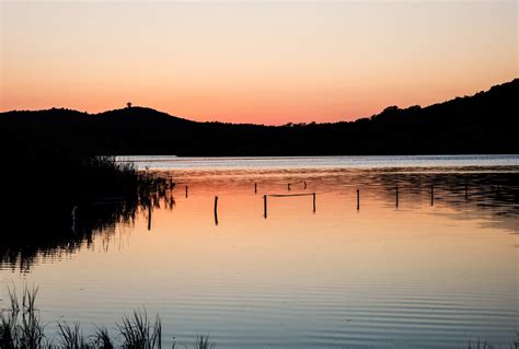 Lac Nature Balaton Photo Gratuite Sur Pixabay Pixabay