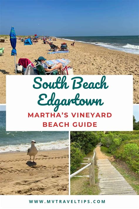 South Beach Marthas Vineyard 2024 Visitors Guide