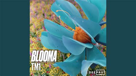 Blooma - YouTube Music