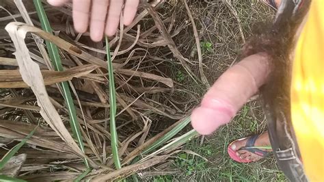 Indian Desi Big Dick Outdoor Shoot Gay Asian Porn Feat Indian Girl Indian Xhamster