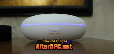 Home Accessory Review Oak Leaf Essential Oil Aroma Diffuser For An All Day Scented Mist