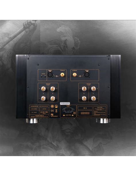 Tonewinner Ad 1pa Amplificatore Di Potenza Hi End