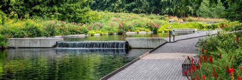 Native Plant Garden New York Botanical Garden