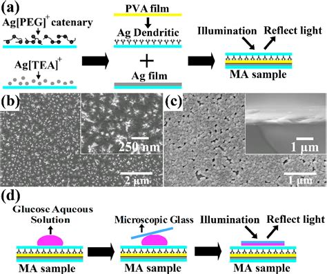 Figure 1 From A Naked Eye Refractive Index Sensor With A Visible Multiple Peak Metamaterial
