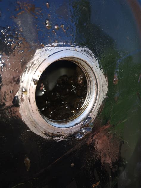 Крутой заяц у Селин, бабушкам и дедушкам нравится этот зверюга) — DRIVE2