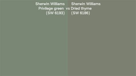 Sherwin Williams Privilege Green Vs Dried Thyme Side By Side Comparison