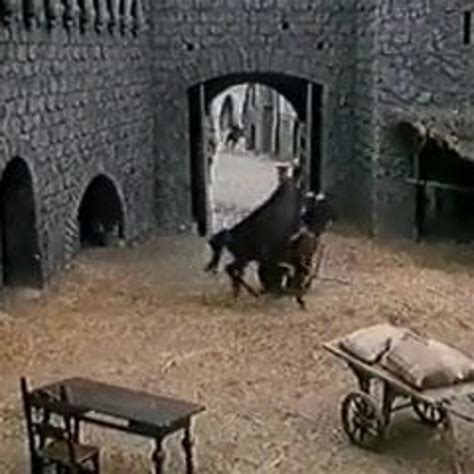 Zorro Free Zorro Tube Anal Porn Video XHamster XHamster