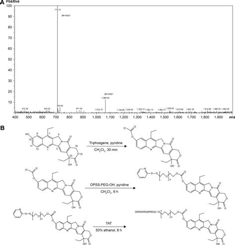 Synthesis Scheme Of Tat Peg Sn38 Notes A Mass Spectrum Of Download Scientific Diagram