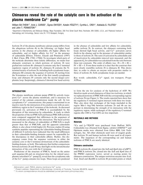 PDF Chimaeras Reveal The Role Of The Catalytic Core In The Activation