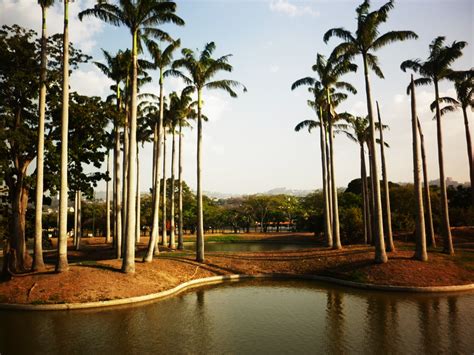 Helen Nakary Fotografía Parque Del Este