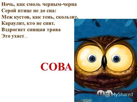 Презентация на тему: "Праздник птиц 1. Морозы жестокие в этом году… 2 ...