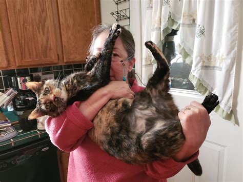 My Mom And Her Huge Pussy R Girlswithhugepussies
