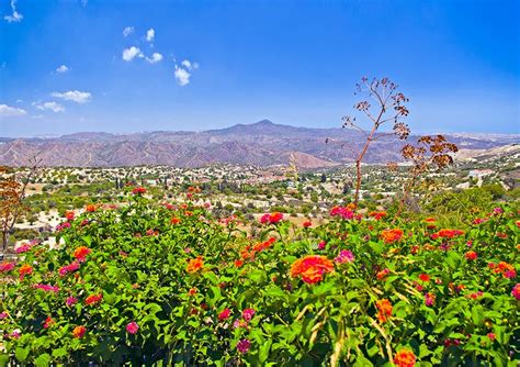 Кипр. Лефкара