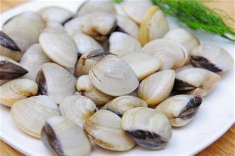 bi quyet lam sach ngao ngao nha cat nhanh