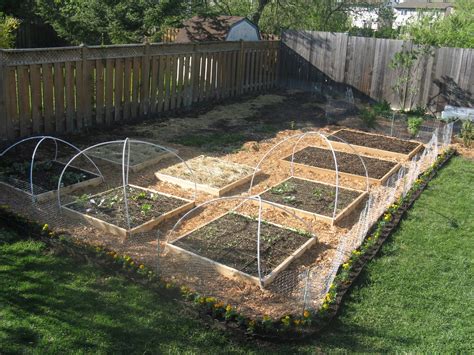 Raised Food: chicken-wire fence all around