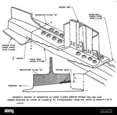wing root  res stock photography  images alamy