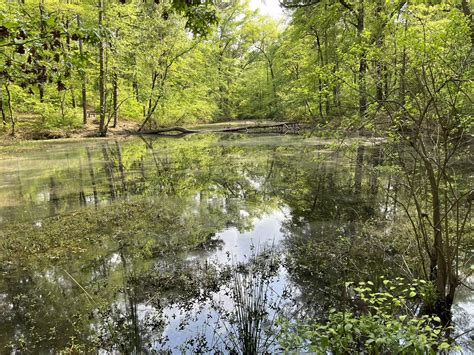 A Tranquil Escape: Unveiling the Hidden Charms of the Lake Bob Brim