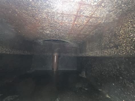 Septic - This is what exposed rebar looks like on an old septic tank