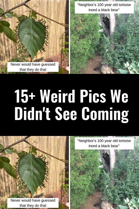 11 kids reveal the biggest secret they know their parents are keeping ...