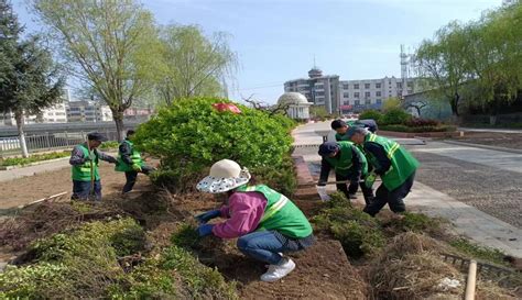 双凤山公园管理所开展春季绿化苗木移植补栽工作