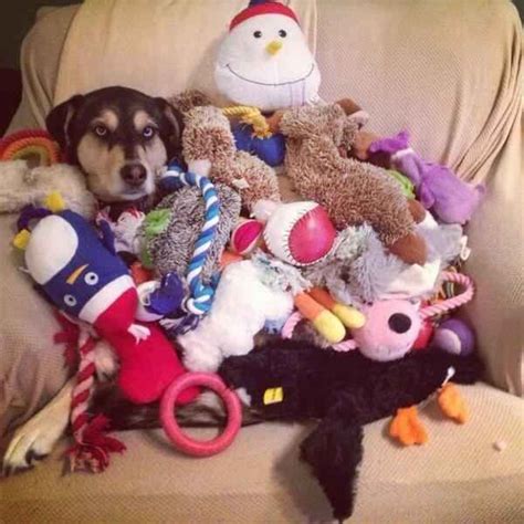 27 Signs Youre A Bit Of A Hoarder Hoarder Upcycle Recycle Toys