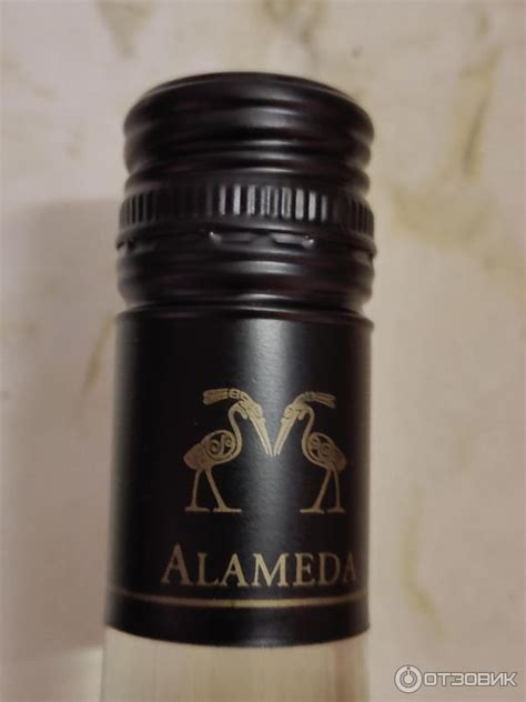 Отзыв о Вино белое полусухое Alameda Sauvignon Blan 2022 | добротное ...