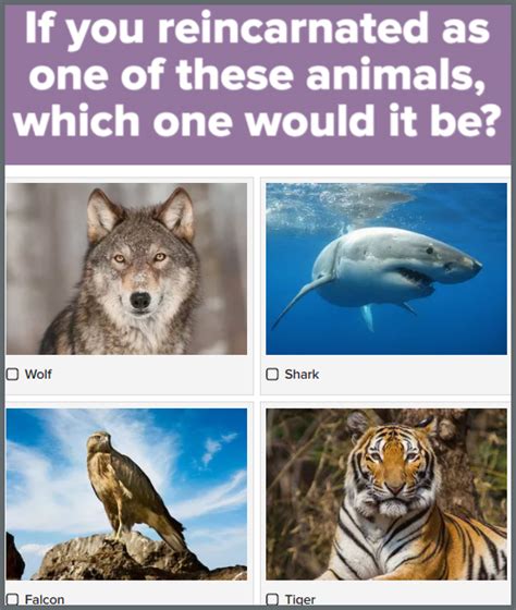 How To Make A Buzzfeed Quiz Everything You Need To Know